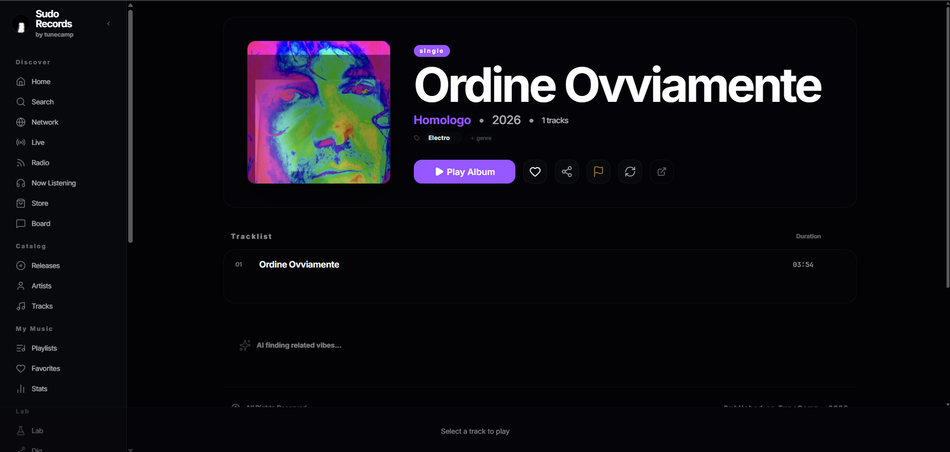 Album detail page with tracklist, AI-powered related vibes, and store/download options